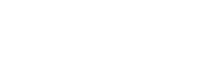 salut logo crop head